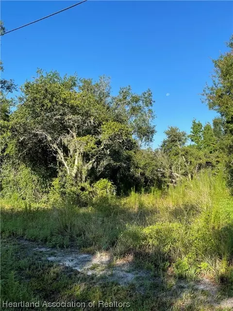 Suwannee Street, Zolfo Springs, FL 33890