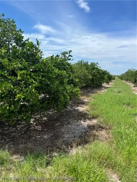 332 Kelly Roberts Rd, Zolfo Springs, FL 33890
