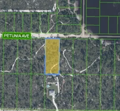 2131 Petunia Ave, Sebring, FL 33875