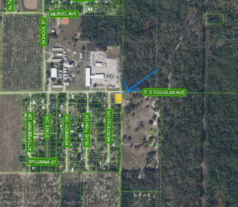 2199 Eo Douglas Ave, Sebring, FL 33870 photo 2