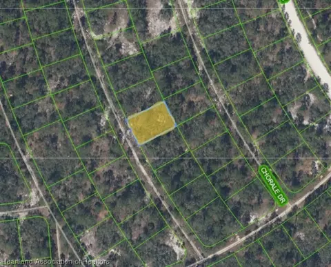 369 Concert Dr, Lake Placid, FL 33852