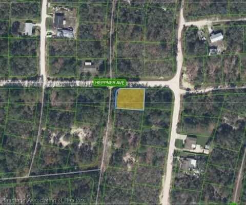 341 Dreamers Dr, Lake Placid, FL 33852