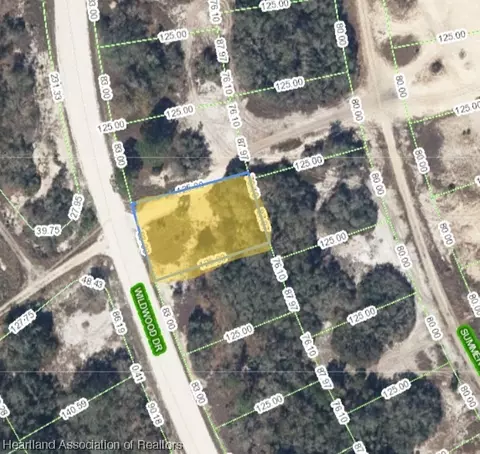 327 Wildwood Dr, Lake Placid, FL 33852