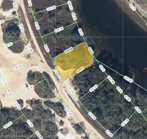 321 Cinema Dr, Lake Placid, FL 33852