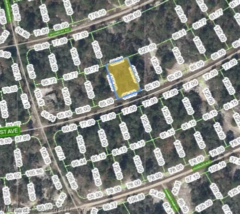 386 Stardust Ave, Lake Placid, FL 33852