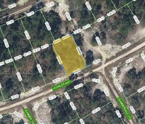392 Hossler Ave, Lake Placid, FL 33852
