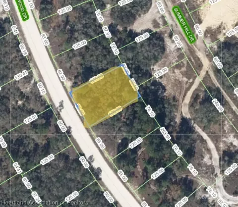 319 Wildwood Dr, Lake Placid, FL 33852