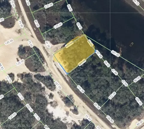 319 Cinema Dr, Lake Placid, FL 33852