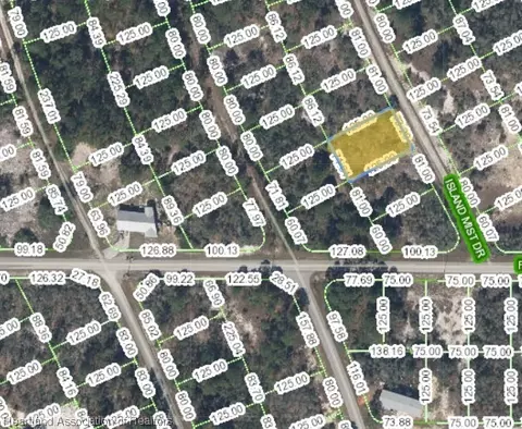204 Island Mist Dr, Lake Placid, FL 33852
