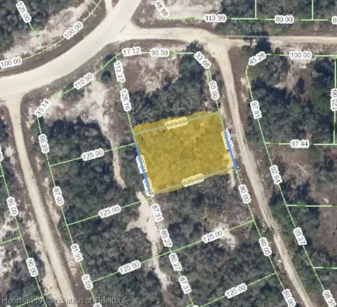 103 Vagabond Ave, Lake Placid, FL 33852