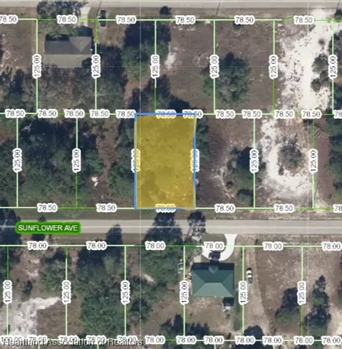 240 Sunflower Ave, Lake Placid, FL 33852