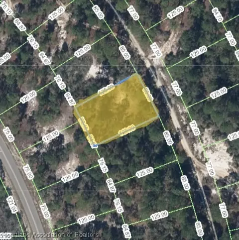 498 Blue Skies Dr, Lake Placid, FL 33852