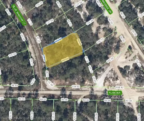 463 Blue Shadow Ct, Lake Placid, FL 33852