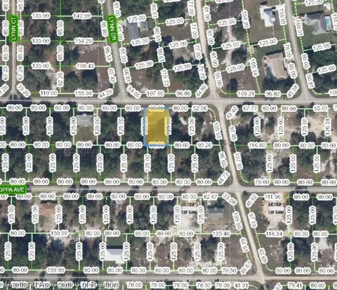 249 Gloria Blvd, Lake Placid, FL 33852