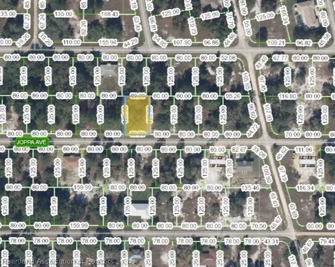 244 Joppa Ave, Lake Placid, FL 33852