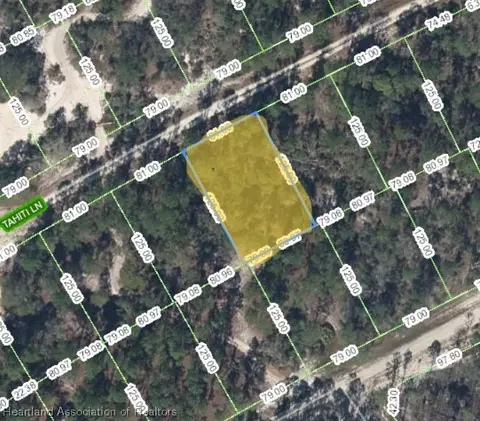 415 Tahiti Ln, Lake Placid, FL 33852