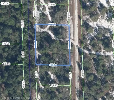1038 Helmsley St, Lake Placid, FL 33852