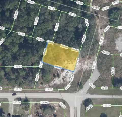 6803 Shasta Daisy Blvd, Sebring, FL 33875