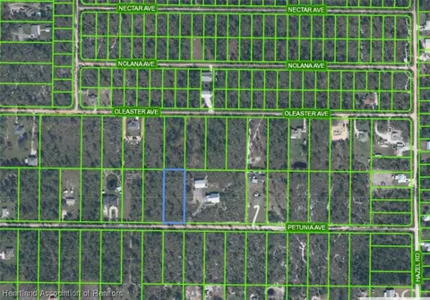 1814 Petunia Ave, Sebring, FL 33875