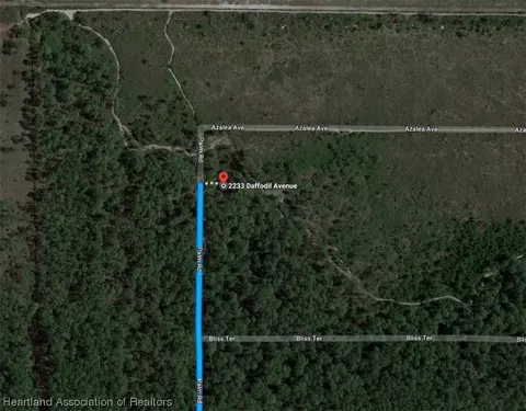 2233 Daffodil Ave, Sebring, FL 33875 photo 3