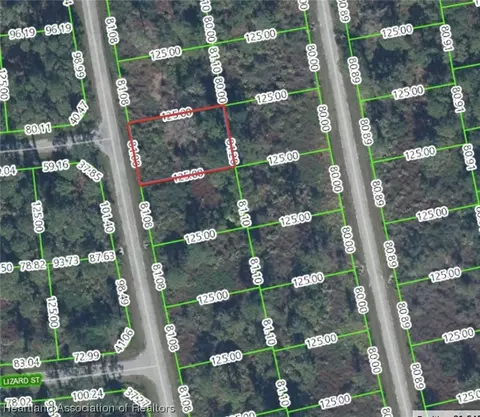 8212 Mantua Ave, Sebring, FL 33872
