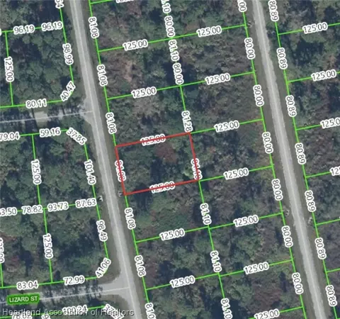 8213 Mantua Ave, Sebring, FL 33872