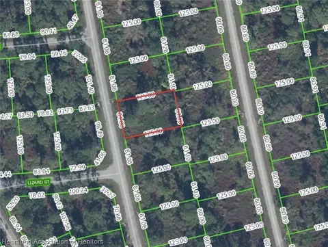 8220 Mantua Ave, Sebring, FL 33872
