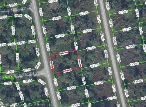 8224 Mantua Ave, Sebring, FL 33872