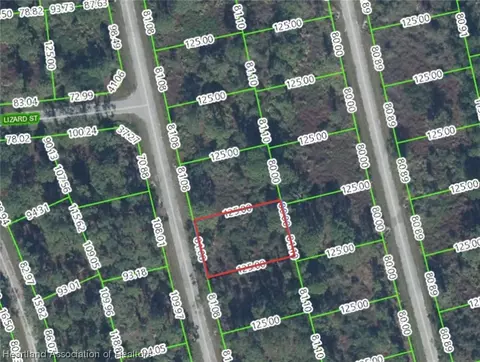 8236 Mantua Ave, Sebring, FL 33872