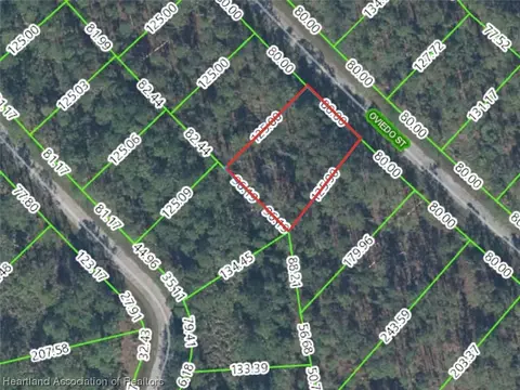 8919 Oviedo St, Sebring, FL 33872
