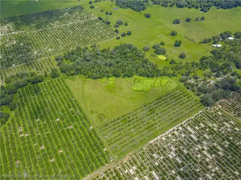 0 Maude Rd, Wauchula, FL 33873 photo 3