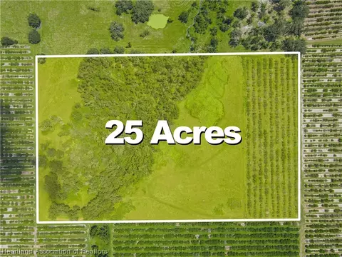 0 Maude Rd, Wauchula, FL 33873 photo 2