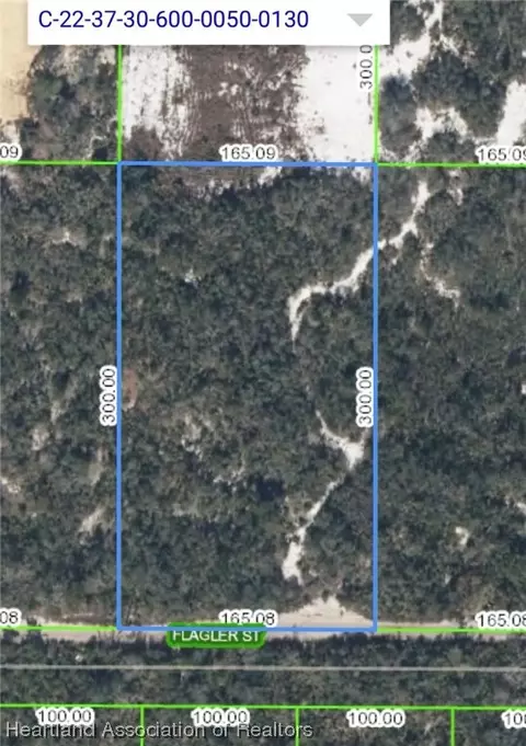 208 Flagler St, Lake Placid, FL 33852
