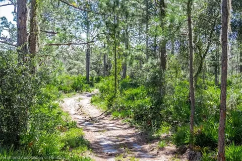 730 Henscratch Rd, Lake Placid, FL 33852