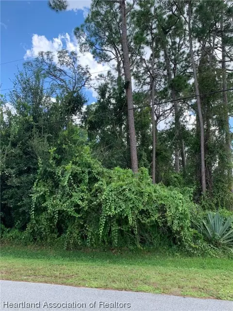 1407 Krouse St, Sebring, FL 33875 photo 3