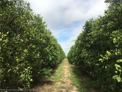 Wes Mann Road, Frostproof, FL 33843