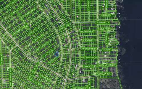 1214 Mayfair St, Lake Placid, FL 33852