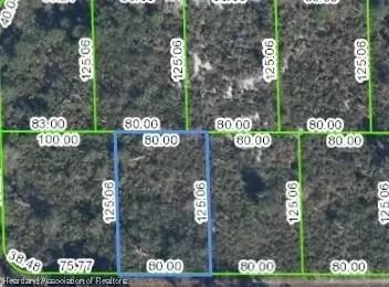381 Carole Rd NW, Lake Placid, FL 33852
