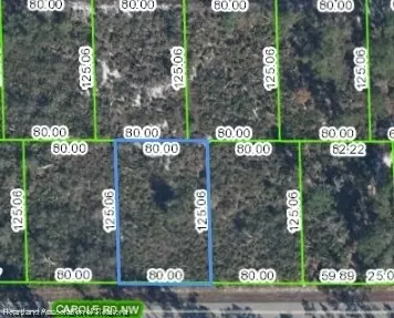 379 Carole Rd NW, Lake Placid, FL 33852