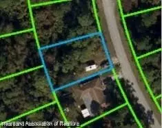 567 Kemper Ave, Lake Placid, FL 33852