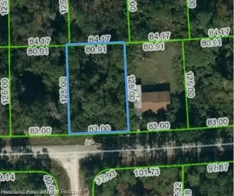 228 Crimson Ave, Lake Placid, FL 33852