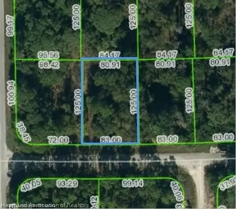 220 Crimson Ave, Lake Placid, FL 33852
