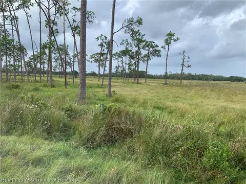 1017 Cattle Ranch Rd, Venus, FL 33960 photo 2