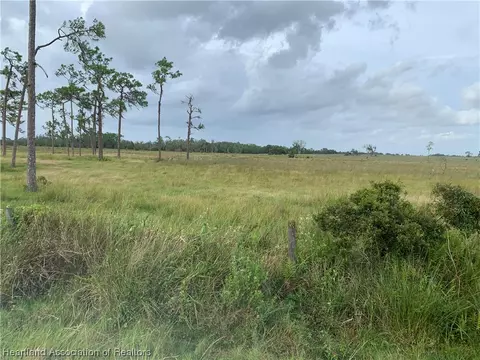 1017 Cattle Ranch Rd, Venus, FL 33960 photo 3