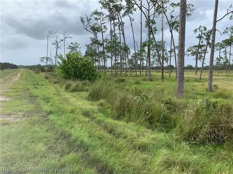 1017 Cattle Ranch Rd, Venus, FL 33960 photo 4