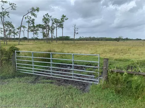 1017 Cattle Ranch Rd, Venus, FL 33960 photo 5