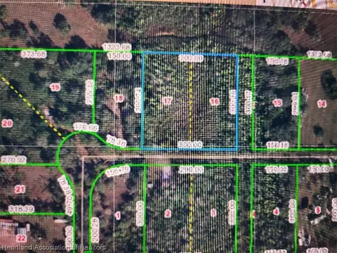 520 Andretti Rd, Venus, FL 33960 photo 1