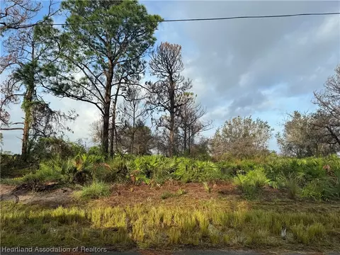 235 Christine St NW, Lake Placid, FL 33852