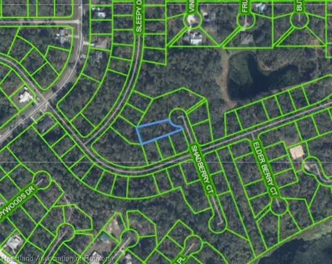 9309 Shadberry Ct, Sebring, FL 33875