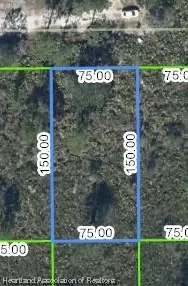 1427 Bittersweet St, Lake Placid, FL 33852